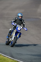 PJ-Motorsport-2019;anglesey-no-limits-trackday;anglesey-photographs;anglesey-trackday-photographs;enduro-digital-images;event-digital-images;eventdigitalimages;no-limits-trackdays;peter-wileman-photography;racing-digital-images;trac-mon;trackday-digital-images;trackday-photos;ty-croes